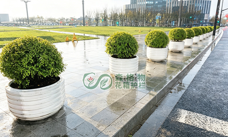 上海浦东道路景观提升 不锈钢圆形树池花钵项目案例